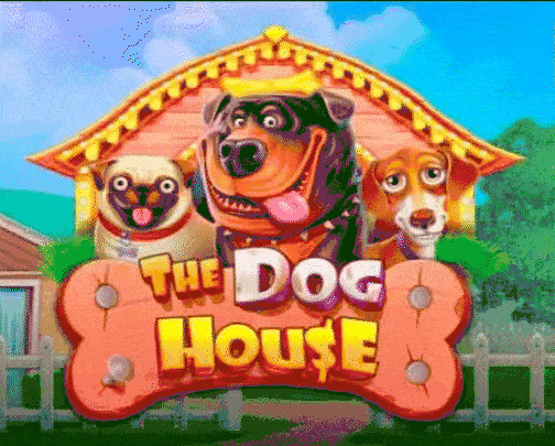 play The Dog House in betrepublic casino